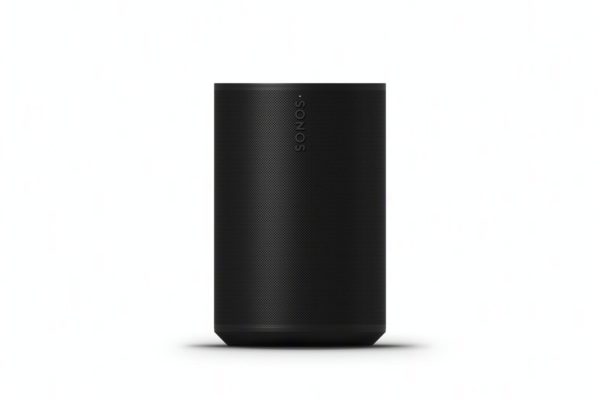 sonos.era100.nouveaute.enceinte.multiroom.audio_.musique.bordeaux.biarritz.bayonne.anglet.merignac.gradignan.bab_.paysbasque