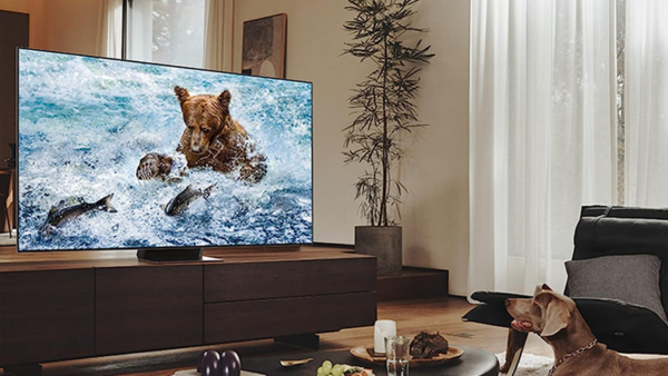 tv-samsung-television-samsung-oled-tv-bordeaux-biarritz-anglet-merignac-aquitaine-access-access-64-image.png